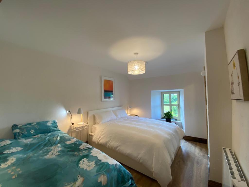 3 Bed Apartment/Explore The Area/Enjoy Our Pub Galway Extérieur photo